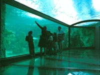 sydneyaquarium.jpg